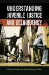 Understanding Juvenile Justice and Delinquency cover