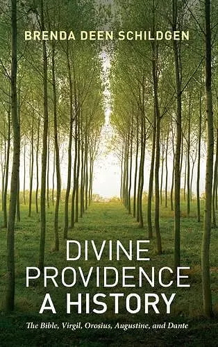 Divine Providence: A History cover