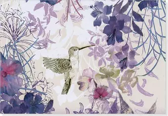 Note Card Hummingbird cover