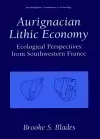 Aurignacian Lithic Economy cover