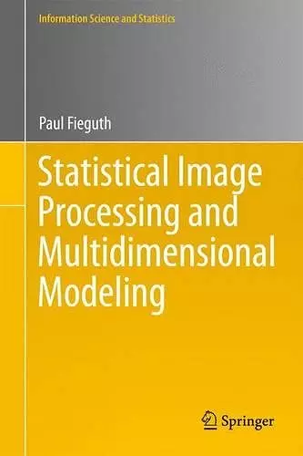 Statistical Image Processing and Multidimensional Modeling cover