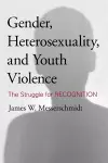 Gender, Heterosexuality, and Youth Violence cover