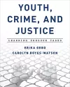 Youth, Crime, and Justice cover
