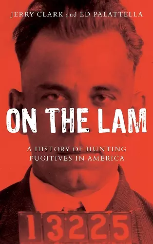 On the Lam cover