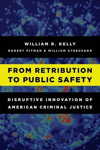 From Retribution to Public Safety cover