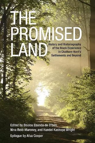 The Promised Land cover