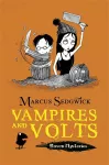 Raven Mysteries: Vampires and Volts cover