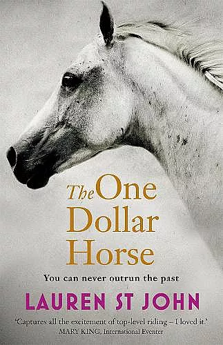 The One Dollar Horse cover