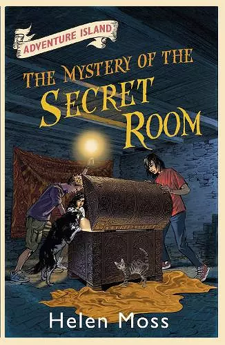 Adventure Island: The Mystery of the Secret Room cover