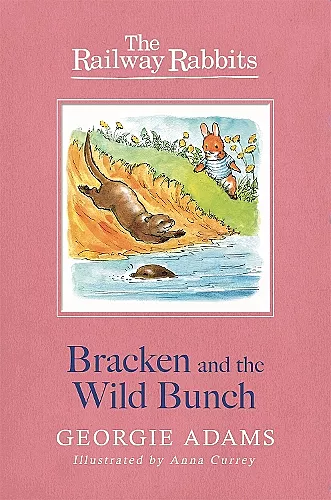 Railway Rabbits: Bracken and the Wild Bunch cover
