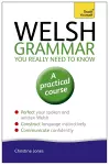 Welsh Grammar You Really Need to Know: Teach Yourself cover