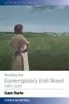 Reading the Contemporary Irish Novel 1987 - 2007 cover