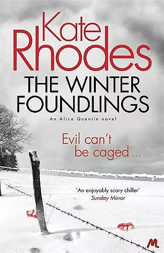The Winter Foundlings cover