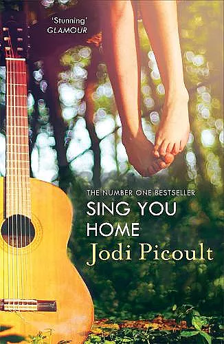 Sing You Home cover