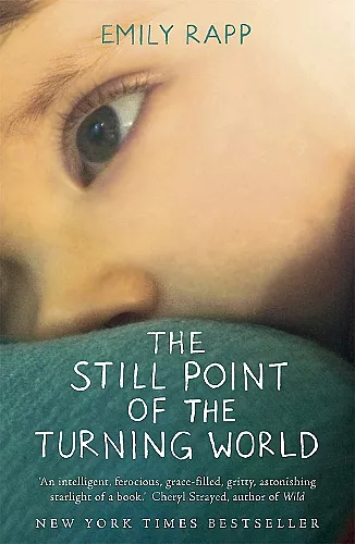 The Still Point of the Turning World cover