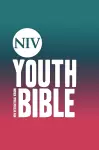 NIV Youth Bible Hardback cover