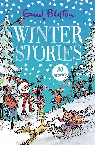 Winter Stories cover