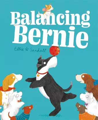 Balancing Bernie cover