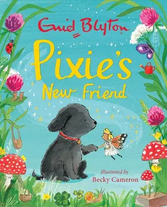 Pixie's New Friend cover