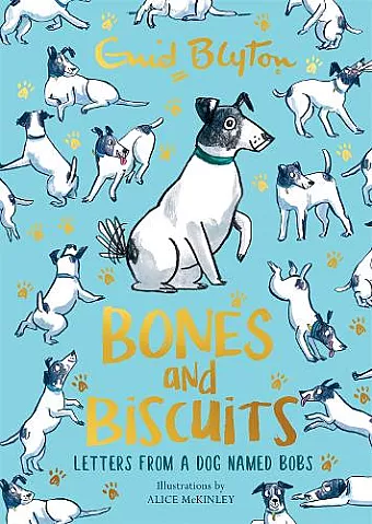 Bones and Biscuits cover