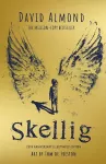 Skellig: the 25th anniversary illustrated edition cover