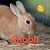 My New Pet: Rabbit cover