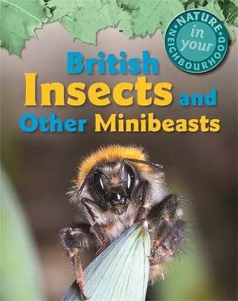 Nature in Your Neighbourhood: British Insects and other Minibeasts cover