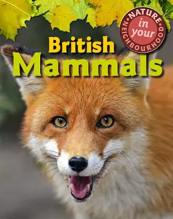 Nature in Your Neighbourhood: British Mammals cover