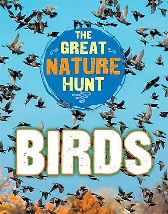 The Great Nature Hunt: Birds cover