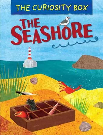 The Curiosity Box: The Seashore cover