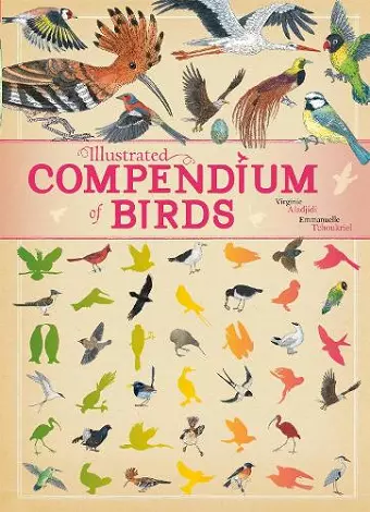 Illustrated Compendium of Birds cover