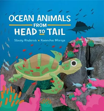 Ocean Animals from Head to Tail cover