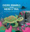 Ocean Animals from Head to Tail cover