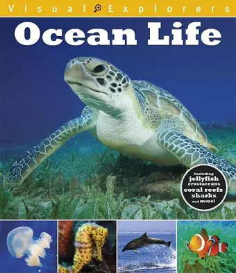 Visual Explorers: Ocean Life cover