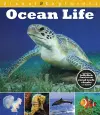 Visual Explorers: Ocean Life cover