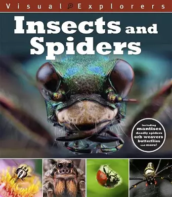 Visual Explorers: Insects and Spiders cover