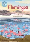 Reading Champion: Flamingos cover