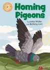 Reading Champion: Homing Pigeons cover