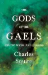 The Gods Of The Gaels - Celtic Myth And Legend (Folklore History Series) cover