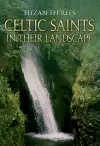 Celtic Saints In Their Landscape cover