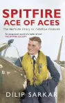 Spitfire Ace of Aces cover