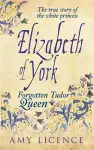 Elizabeth of York cover