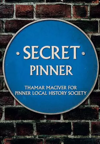 Secret Pinner cover