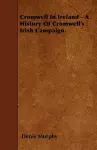Cromwell In Ireland - A History Of Cromwell's Irish Campaign. cover