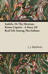 Andele, Or The Mexican-Kiowa Captive - A Story Of Real Life Among The Indians cover