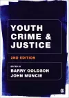 Youth Crime and Justice cover