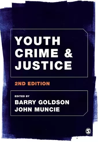 Youth Crime and Justice cover