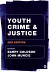 Youth Crime and Justice cover