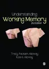 Understanding Working Memory cover