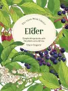 The Little Wild Library: Elder cover